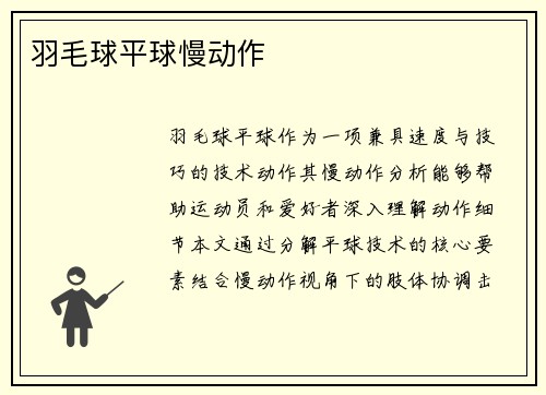 羽毛球平球慢动作